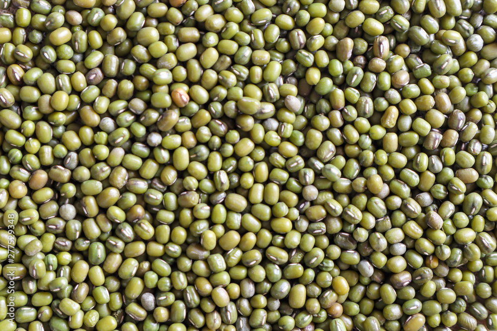 Mung bean seeds have long been used as food for human beings, green beans, seeds that are placed in a white plate, placed on a table with tears and tablecloths.... Mung bean seeds have long been used as food for human beings, green beans, seeds that are placed in a white plate, placed on a table with tears and tablecloths....