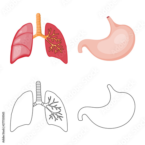 Vector illustration of biology and scientific sign. Set of biology and laboratory stock vector illustration.