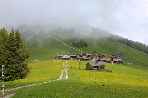 Green meadow and village Obermutten on a foggy summer day. photo