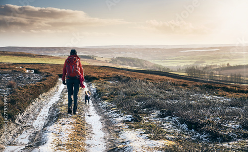 Fotografie, Obraz A hiker walking in the early morning sun and frost covered ground of Blanchland Common in the North of England