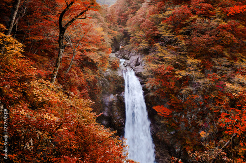 Картината върху платно Famous Akiu Waterfall in Akiu Osen with vibrant red autumn forest, Sendai - Japa