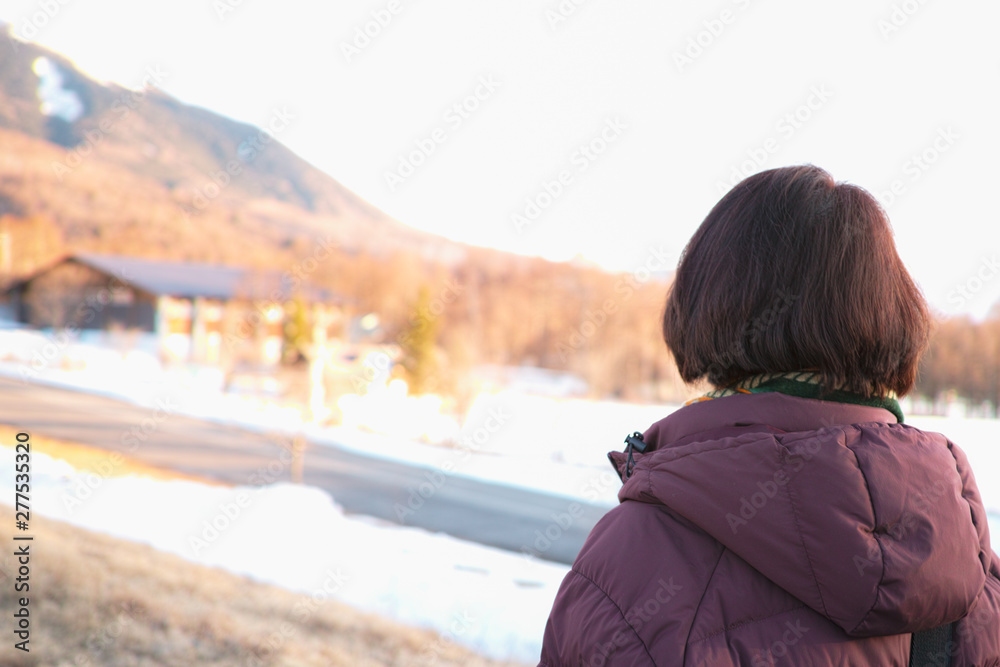 The back of a woman's head as she observes Winter scenery