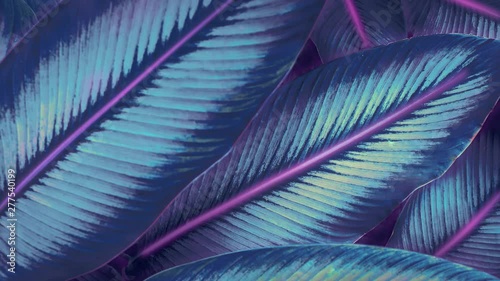 Futuristic neon jungle switching on and and off, glitching while switching on. Avatar like neon jungle. Neon lights 80's like