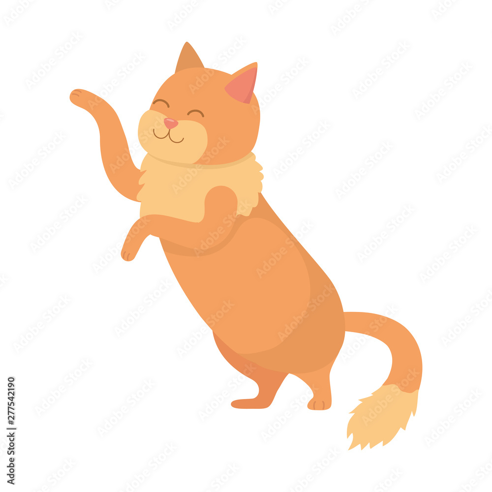 Cat cartoon design vector illustrator