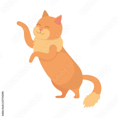 Cat cartoon design vector illustrator © Stockgiu
