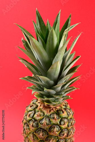 Pineapple on a red background. Top view.