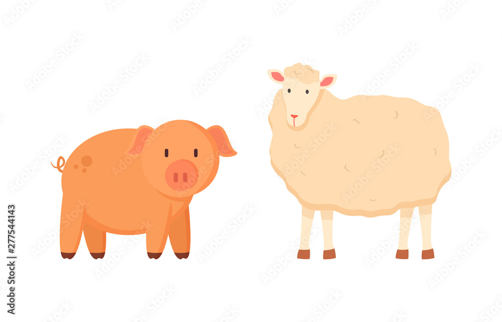 Fluffy sheep and porky pig vector, isolated domestic animals on farm, farming and breeding of mammals for agriculture, funny characters standing together Fluffy sheep and porky pig vector, isolated domestic animals on farm, farming and breeding of mammals for agriculture, funny characters standing together