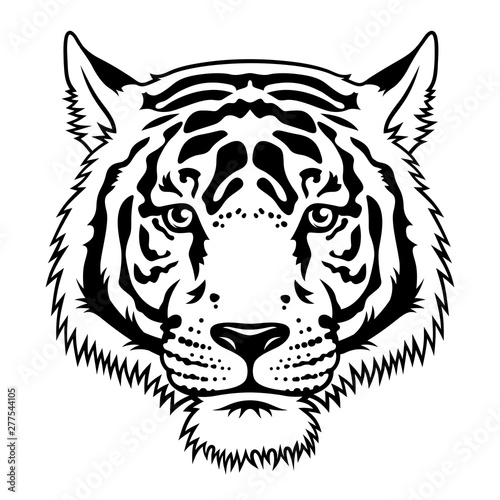 Tiger 019