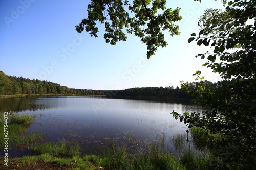 Fototapeta Naklejka Na Ścianę i Meble -  Jezioro kaszuby mazury w lesie las wiosna
