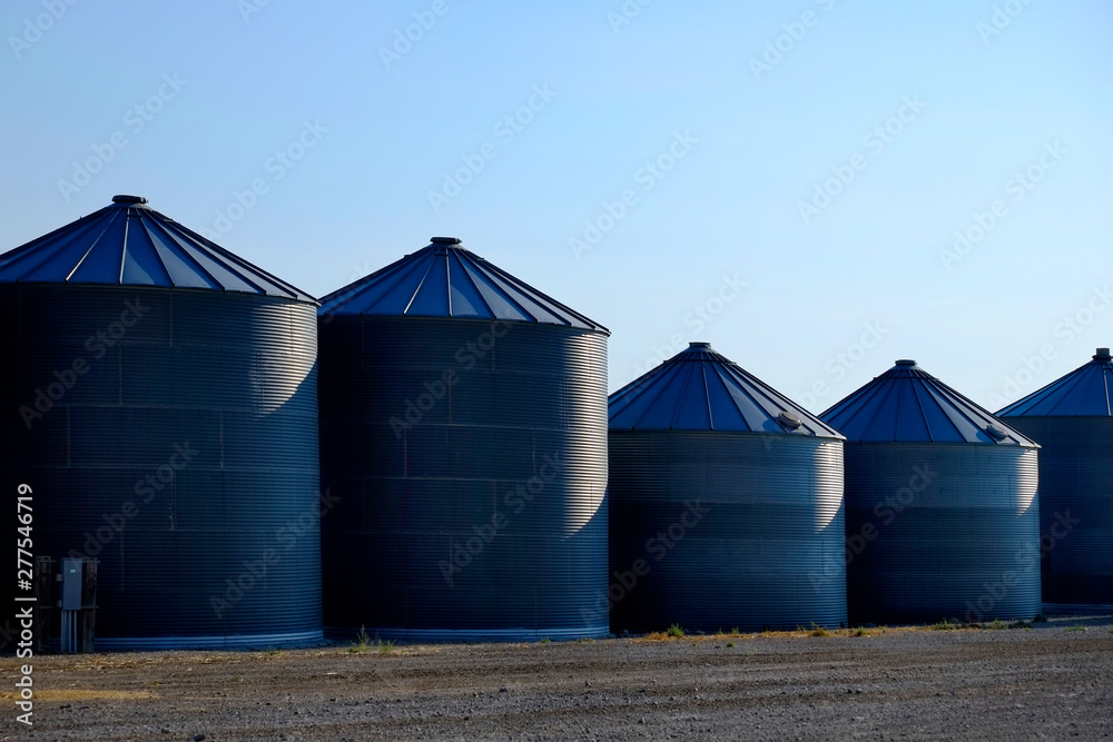 Grain Silos on Farm for Farming and Storage of Wheat Grain Silos on Farm for Farming and Storage of Wheat