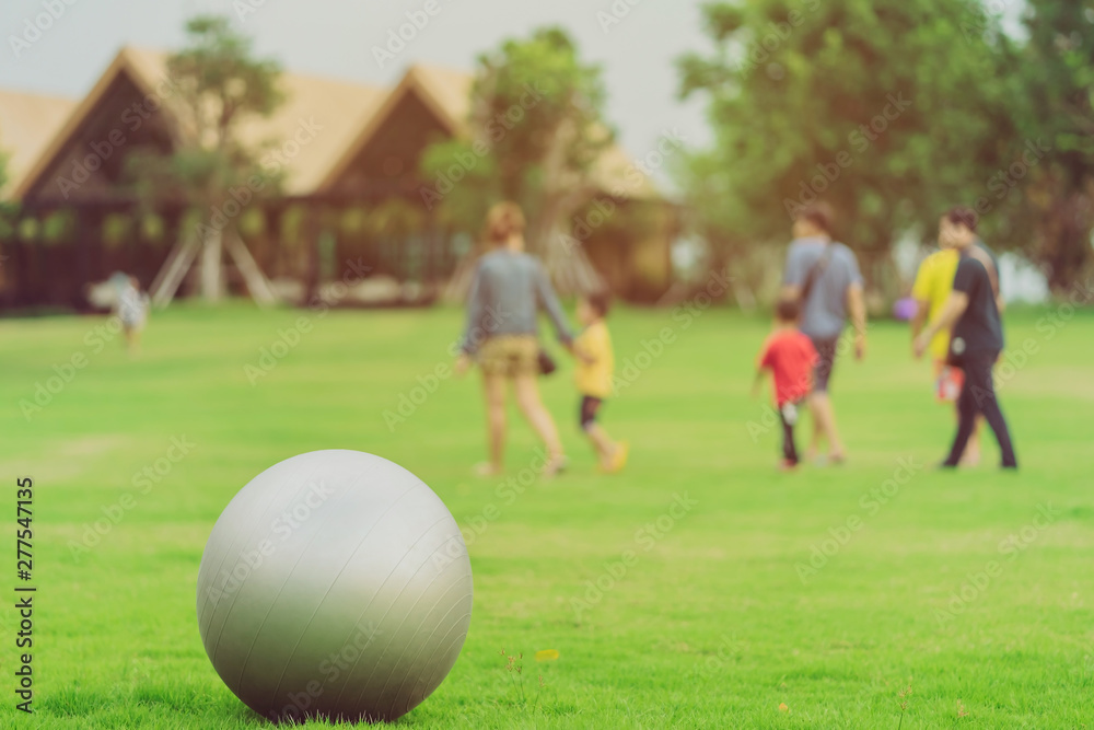 Large gray rubber balls placed on green grass in the public park. Large gray rubber balls placed on green grass in the public park.