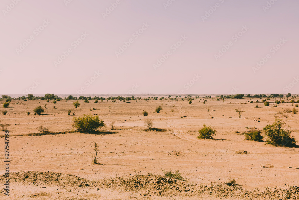 thar desert landscape, view of thar zone, in the rajasthan thar desert landscape, view of thar zone, in the rajasthan