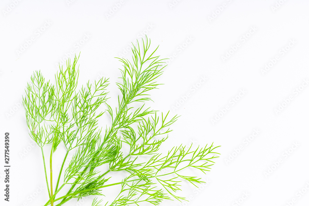 Fototapeta premium Fresh dill isolated on white background with copy space