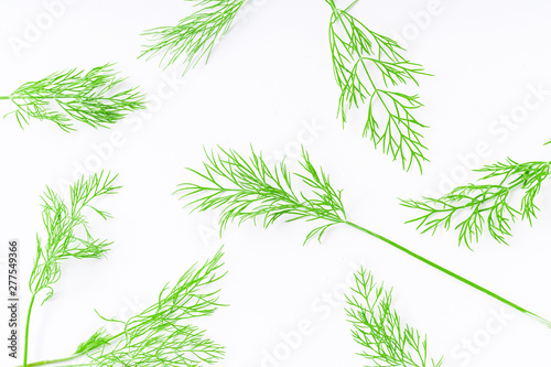 Pattern with fresh dill isolated on white background