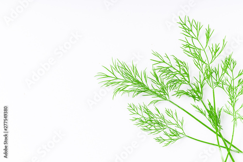 Fresh dill isolated on white background with copy space