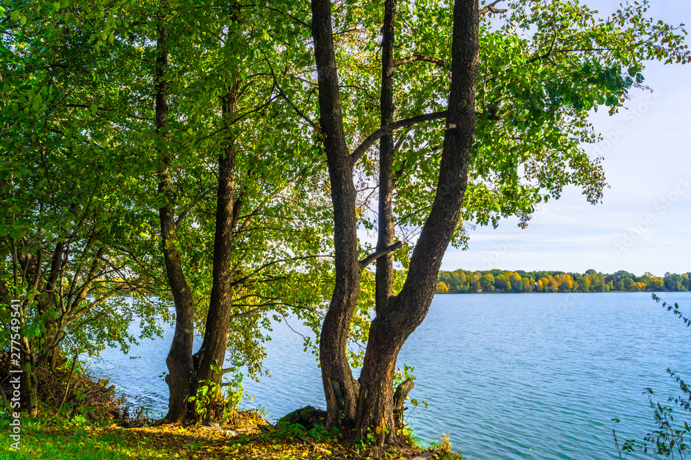 Autumn landscape on the Lake Biserovo, Moscow region, Russia. Autumn landscape on the Lake Biserovo, Moscow region, Russia.