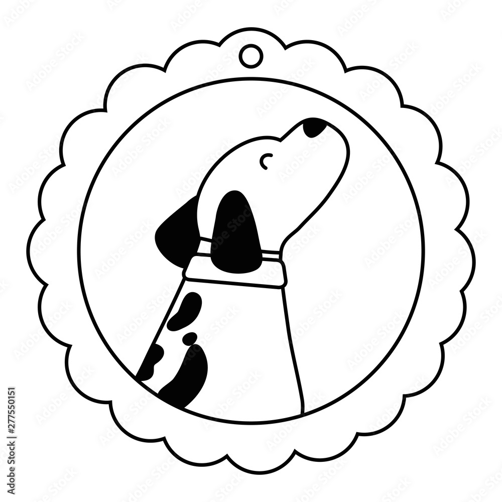 Dog cartoon design vector illustrator Dog cartoon design vector illustrator