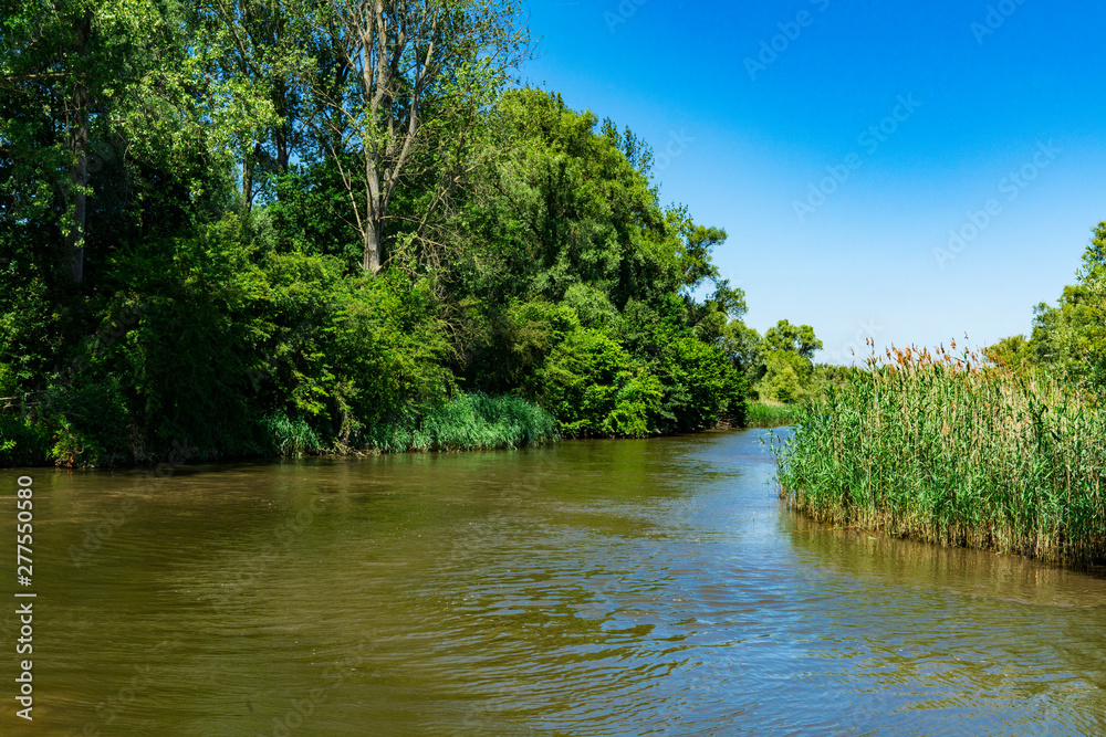 Creek in National park Hollands Biesbosch in Drimmelen. River Amer,  The Netherlands