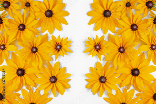 Yellow flowers represented on white background. Many flowers for decorating any post card or celebration card. Summer and autumn concept. Flat lay, top view, copy space © Yura Yarema