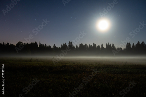 Moonlight landscape. Field and forest silhouette under night sky with full moon and stars. Beauty nature background.