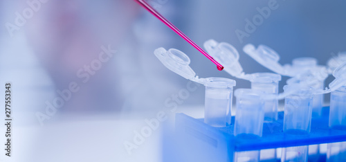 Canvas Print Laboratory assistant in the  of  food quality