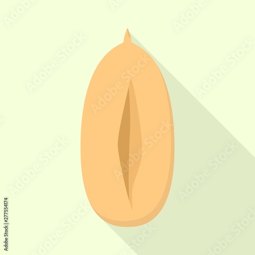 Clean peanut icon. Flat illustration of clean peanut vector icon for web design
