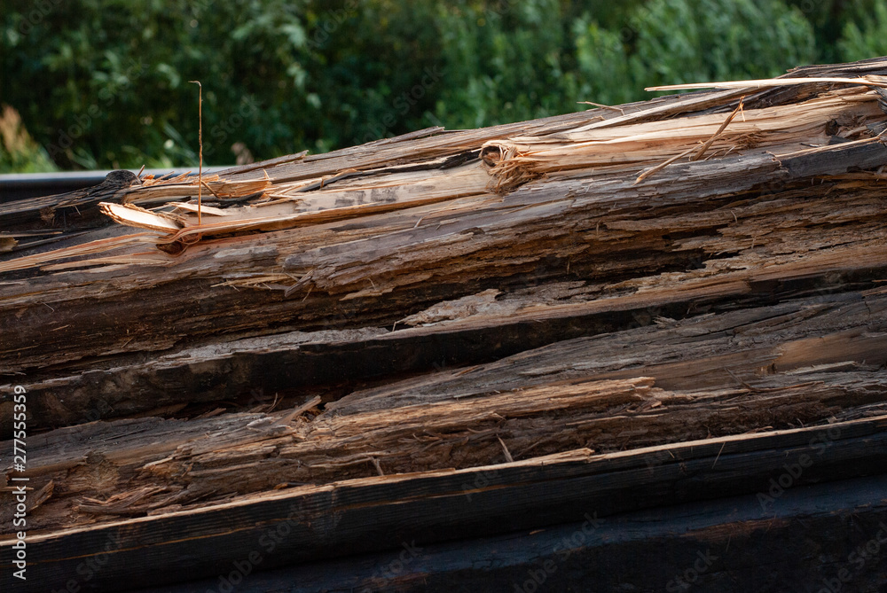 log surface. firewood for the winter. a pile of wood for the fireplace log surface. firewood for the winter. a pile of wood for the fireplace
