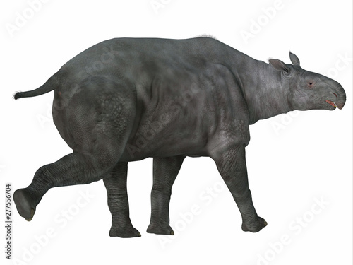 Paraceratherium Mammal Tail - Paraceratherium was a herbivorous mammal that lived in Eurasia during the Eocene and Oligocene Periods. © Catmando