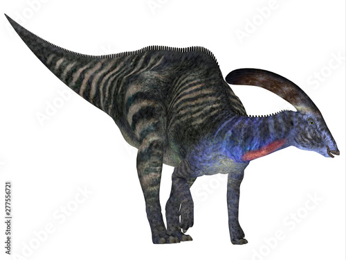 Parasaurolophus Dinosaur - Parasaurolophus with a cranial crest was a herbivorous Hadrosaur dinosaur that lived in North America during the Cretaceous Period. © Catmando