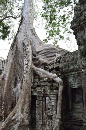 Ta Prohm which is a part of Angkor, Cambodia © Q'ju Creative