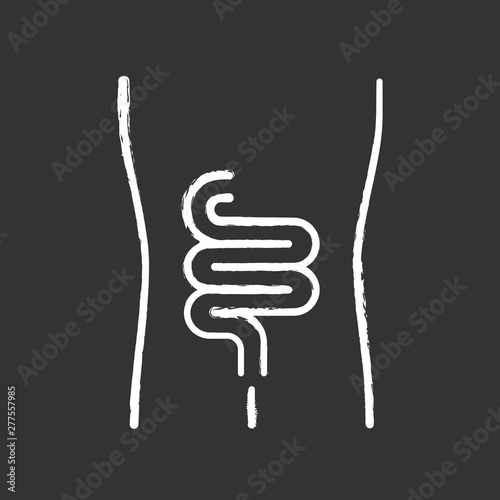 Healthy intestine chalk icon. Human internal organ in good health. People wellness. Functioning digestive system. Wholesome gastrointestinal tract. Isolated vector chalkboard illustration