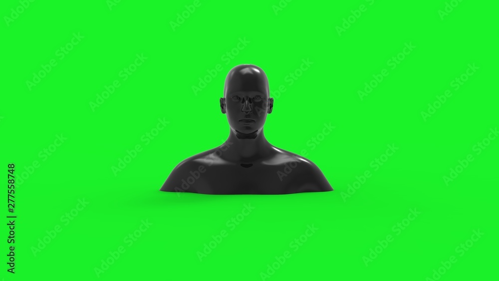 3d rendering of a human model isolated in studio background