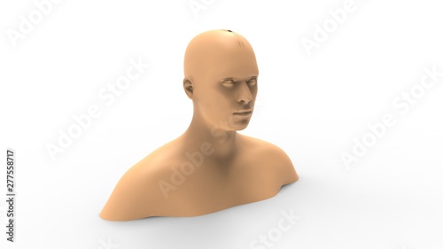 3d rendering of a human model isolated in white background