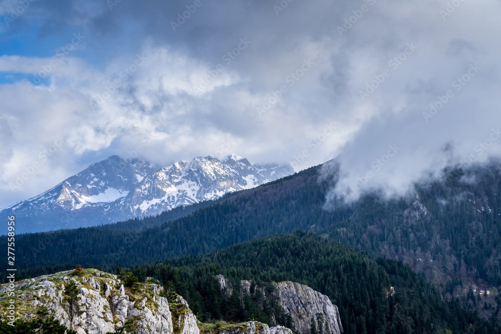 Montenegro, Foggy mystic atmosphere over green untouched forest covered mountains of durmitor national park nature landscape and peaks covered by snow near zabljak