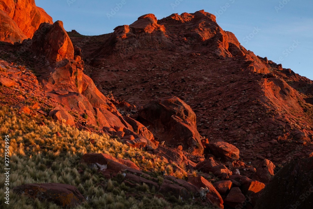Obraz premium La meravigliosa albra vista dalla località di Tres Piedras, nella riserva nazionale di Famatina, La Rioja, Argentina
