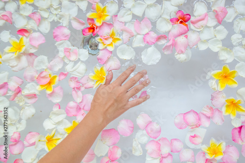 Frangipani petals and flowers in the bathtub, spa weekend, wellbeing, body care and beauty concept