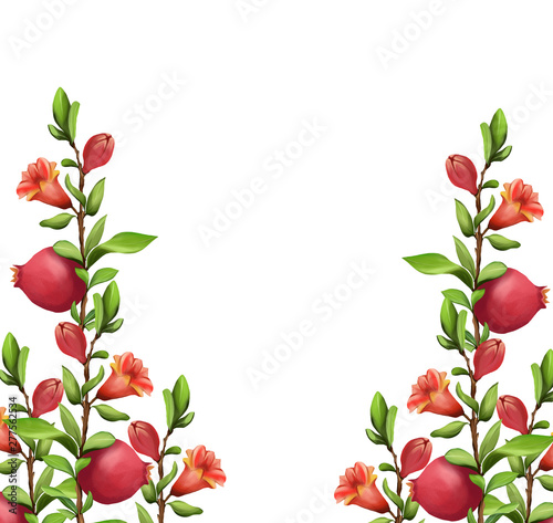 Beautiful Red Pomegranate fruit art illustration 