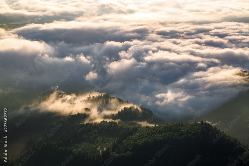 The sun rays are breaking through the thick dramatic mysterious fog and enlighten the forest. Landscape with beautiful mountains. Touristic resort Carpathian national park, Ukraine Europe.