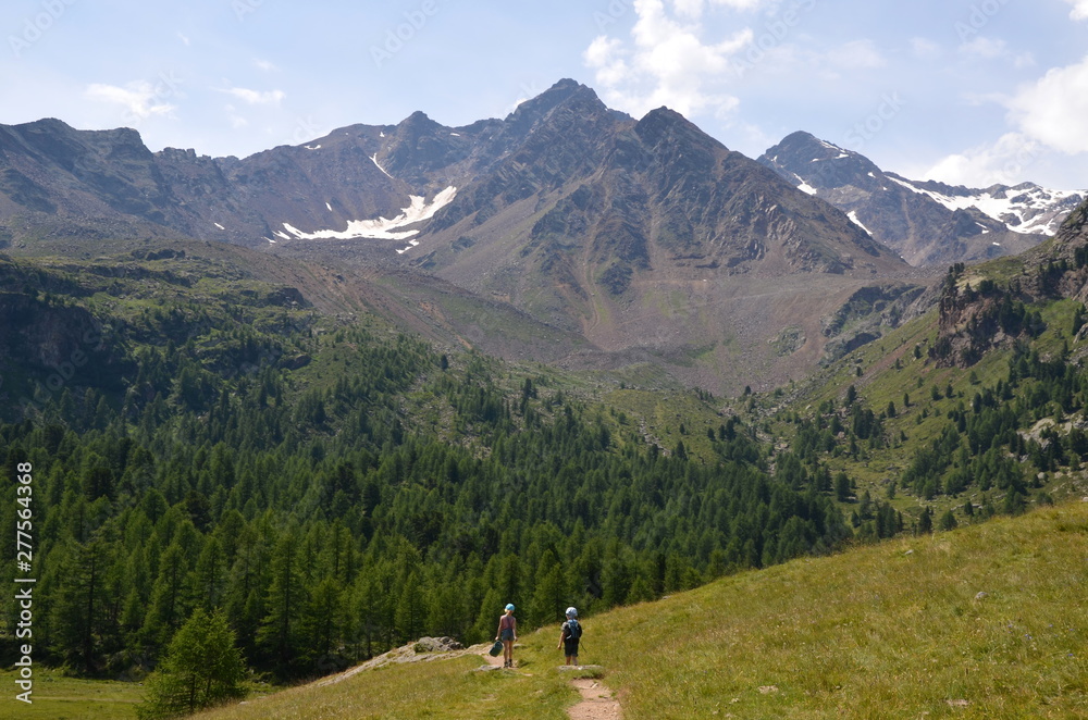 Wanderwege im hintersten Ultental bei Meran - Bergidylle im Sommer