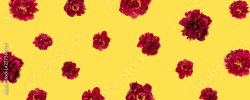 Spring or summer creative concept of red-maroon peonies flowers pattern on a yellow background, can be used for banner, poster, postcard, print on fabric or poster