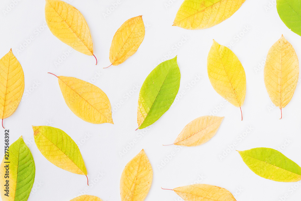 Fototapeta premium Flat lay pattern with colorful autumn leaves on a white background