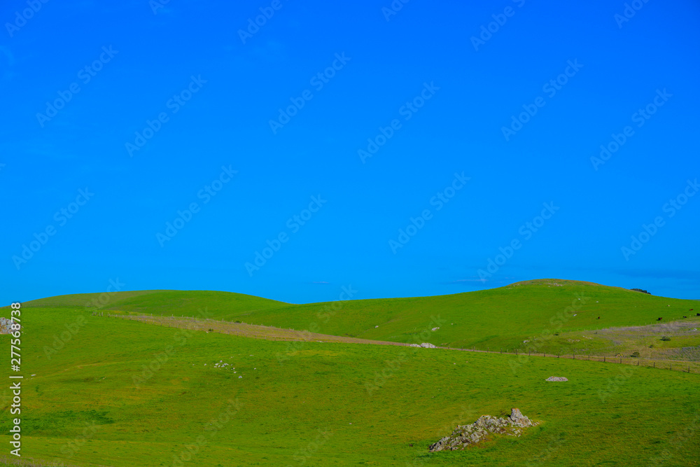Obraz premium Meadow with beautiful blue sky background with copy space