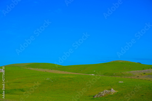 Fotografija Meadow with beautiful blue sky background with copy space