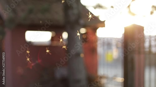 Bugs flying around in a sunbeam late on a summer's day photo