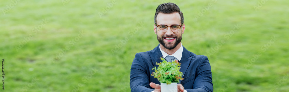 panoramic shot of young man presenting flowerpot with plant, smiling and looking at camera panoramic shot of young man presenting flowerpot with plant, smiling and looking at camera