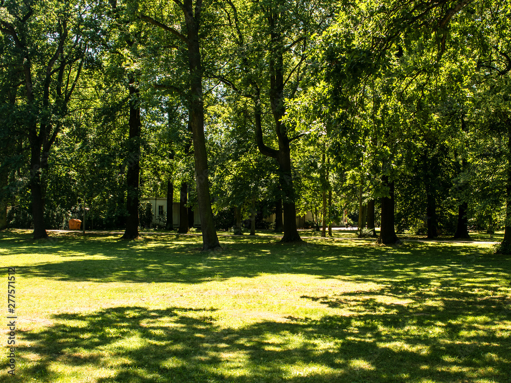 Park, trees, beauty, shadows, the sun, grass, water, natural Park, trees, beauty, shadows, the sun, grass, water, natural