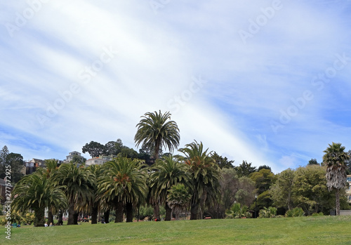 View of Mission Dolores Park in Downtown San Francisco, California photo