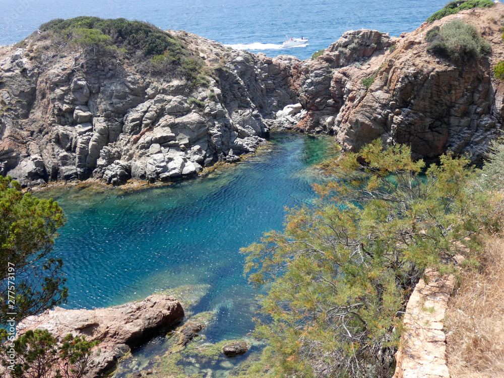 Cala de la Costa Brava catalana, azul del mar, aguas transparentes, cristalinas y frescas. Pinos que llegan al mar en sus acantilados. Costa abrupta.