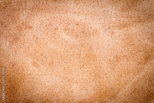 Genuine brown leather texture background. Back side.