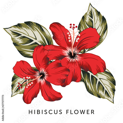Tropical red hibiscus flowers, green leaves bouquet, white background. T shirt, card, poster template. Vector illustration. Summer beach floral design 